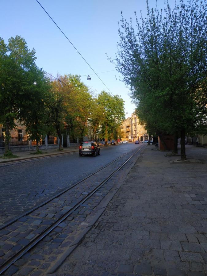 Cozy Studio For Couple Near Polytechnic University Lviv Exteriör bild